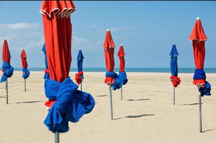 Studio Piscine Honfleur Deauville Équemauville Eksteriør billede